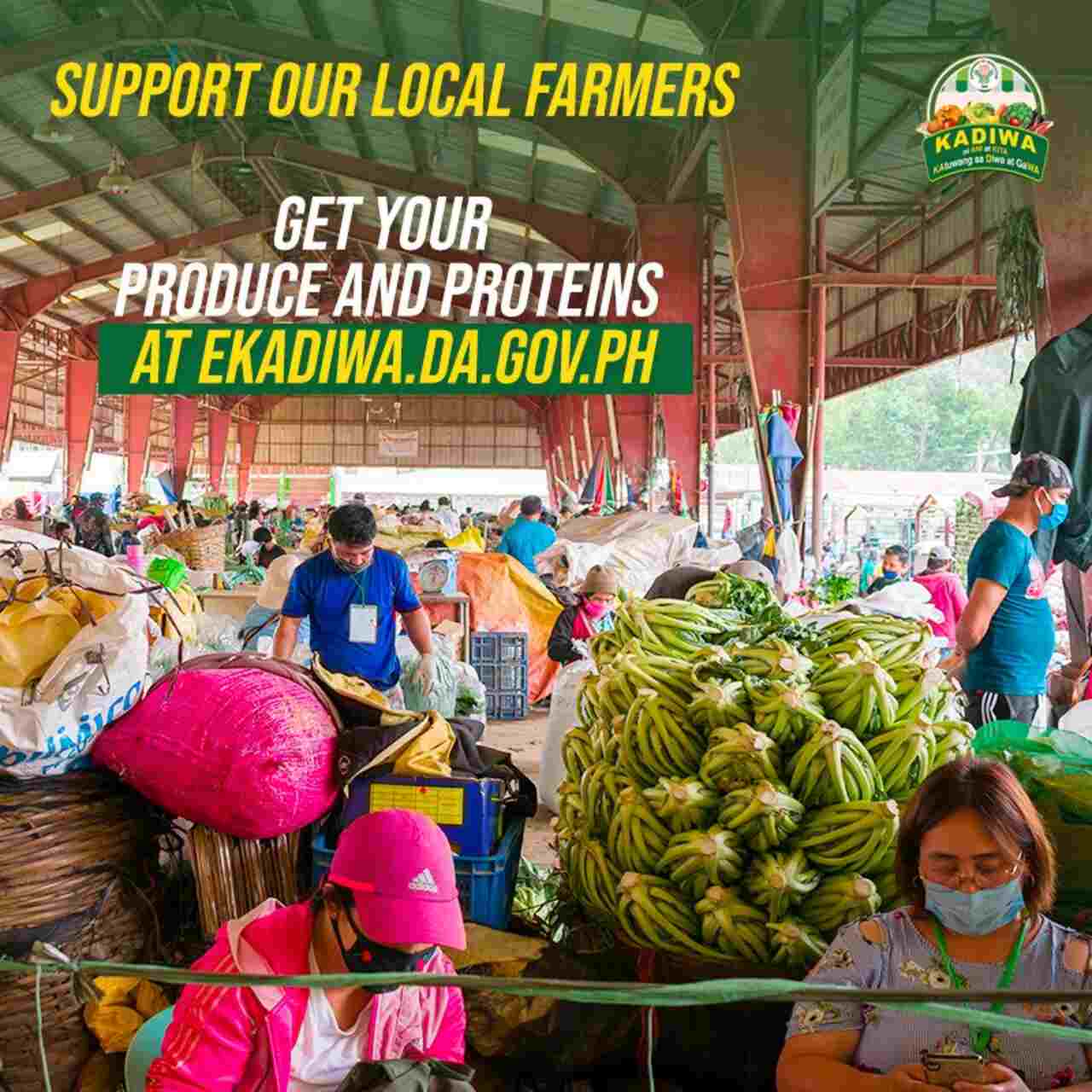 agri-supplies-distribution-ekadiwa