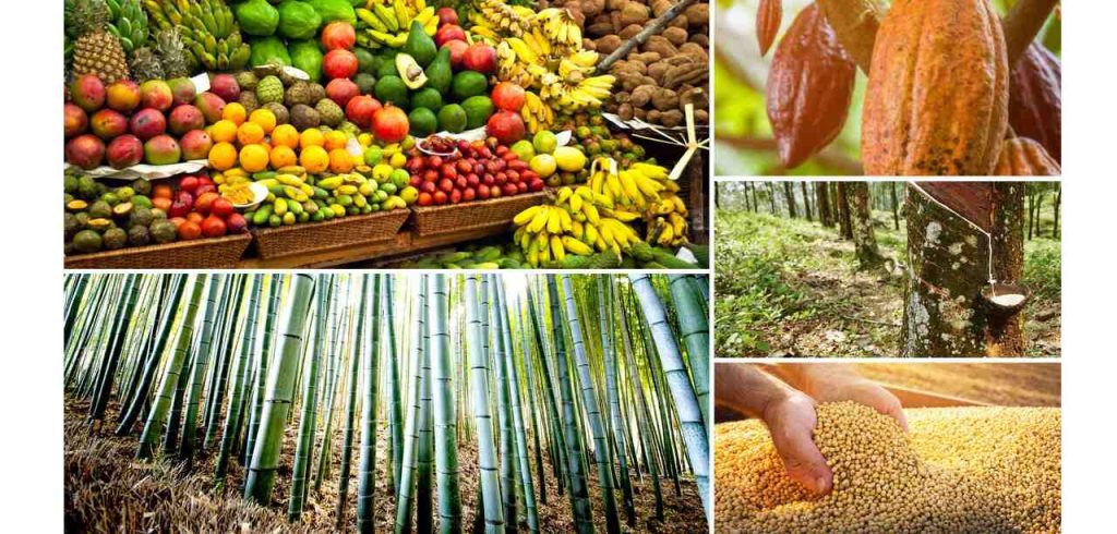 Sulong-saka-lending-crops