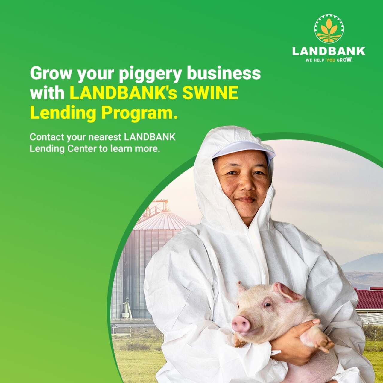 applying-for-swine-lending-program