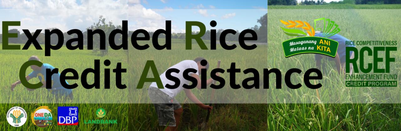 erca-rcef-application