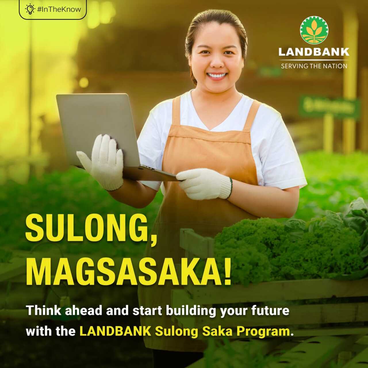 how-to-apply-for-sulong-saka-lemding-program