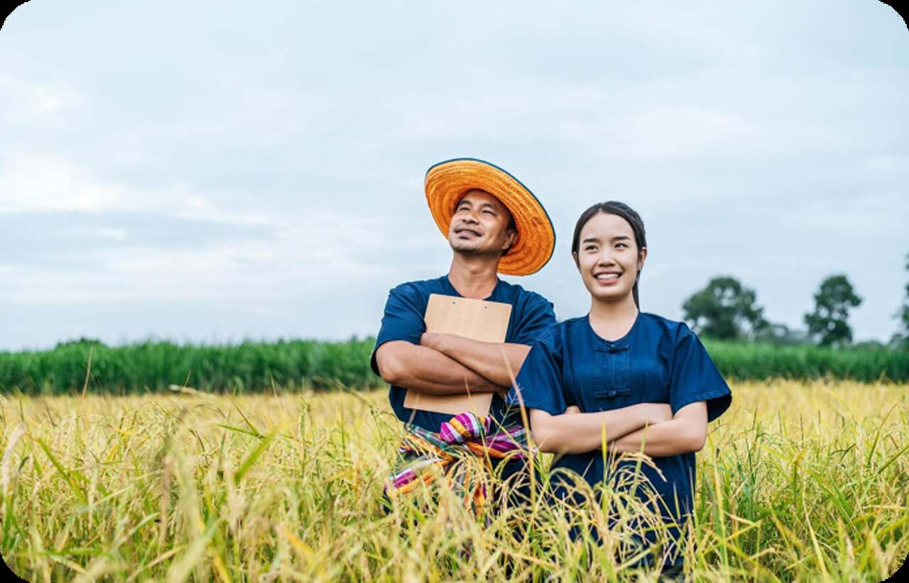 dti-livelihood-seeding-program-lsp-nsb